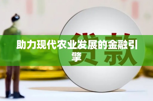 圣方济各堂区助力现代农业发展的金融引擎