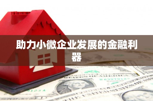 圣方济各堂区助力小微企业发展的金融利器