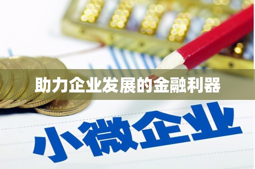 圣方济各堂区助力企业发展的金融利器