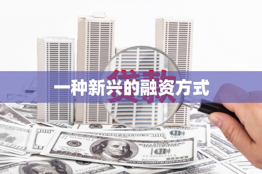 圣方济各堂区一种新兴的融资方式