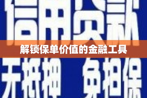 圣方济各堂区解锁保单价值的金融工具