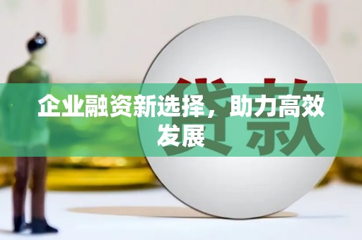 圣方济各堂区企业融资新选择，助力高效发展