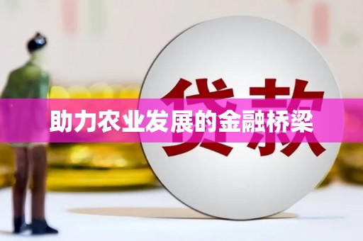 圣方济各堂区助力农业发展的金融桥梁