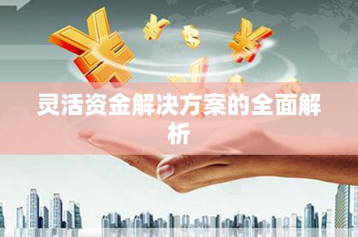 圣方济各堂区灵活资金解决方案的全面解析
