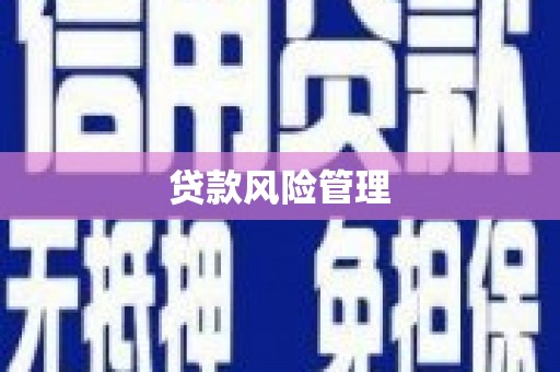 圣方济各堂区贷款风险管理