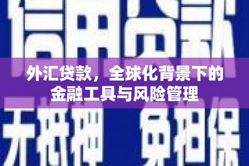 圣方济各堂区外汇贷款，全球化背景下的金融工具与风险管理