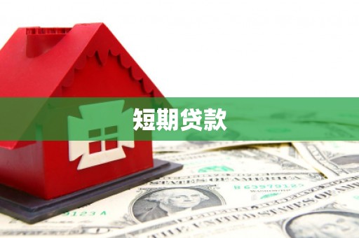 圣方济各堂区短期贷款