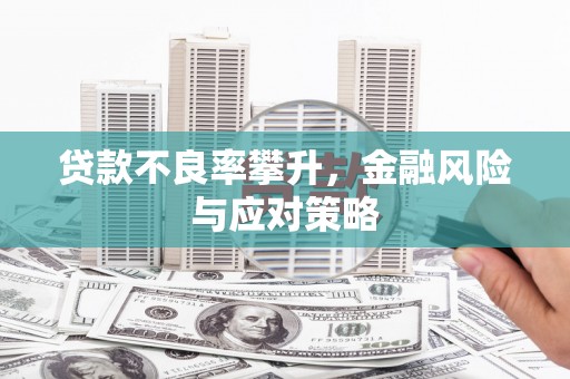 圣方济各堂区贷款不良率攀升，金融风险与应对策略