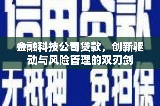 圣方济各堂区金融科技公司贷款，创新驱动与风险管理的双刃剑